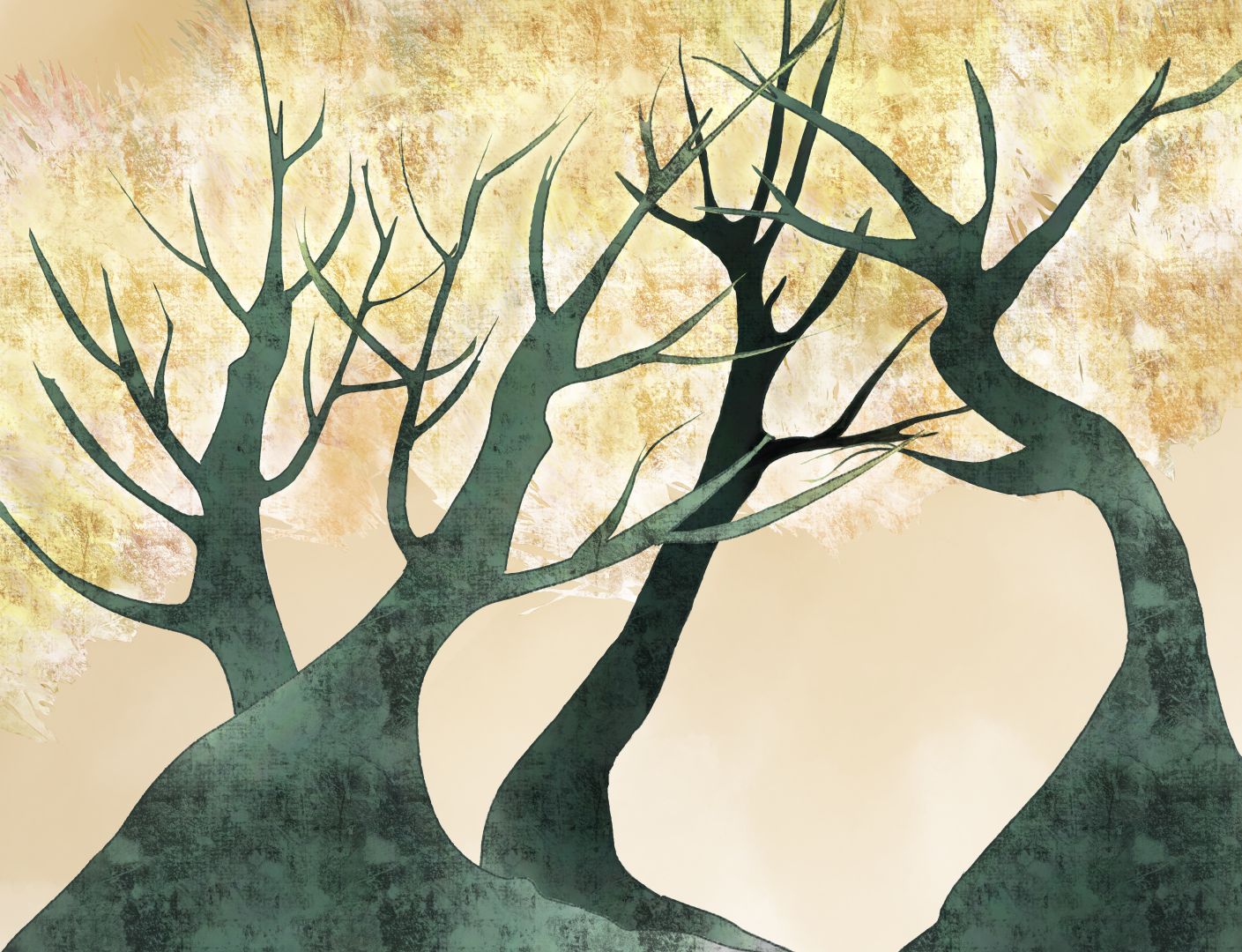 Les deux illustrations offrent une vue en contre-plongée de quatre arbres, l’une avec feuillage aux couleurs automnales et l’autre avec feuillage en couleurs surexposées