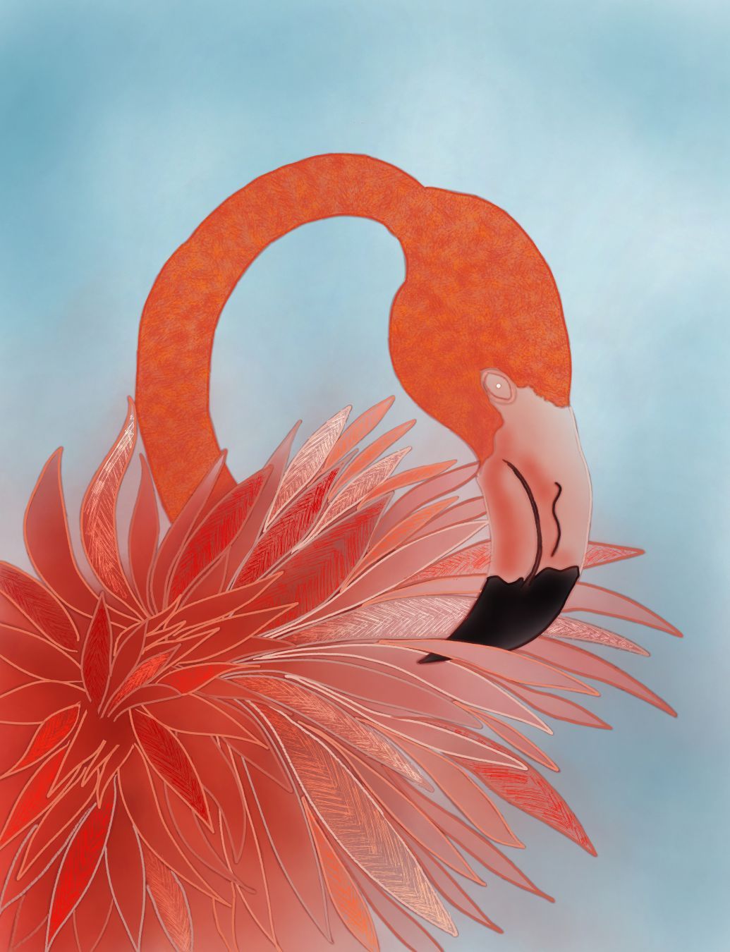 Gros plan d’un flamant rose à sa toilette / Zoom in on a pink flamingo grooming itself