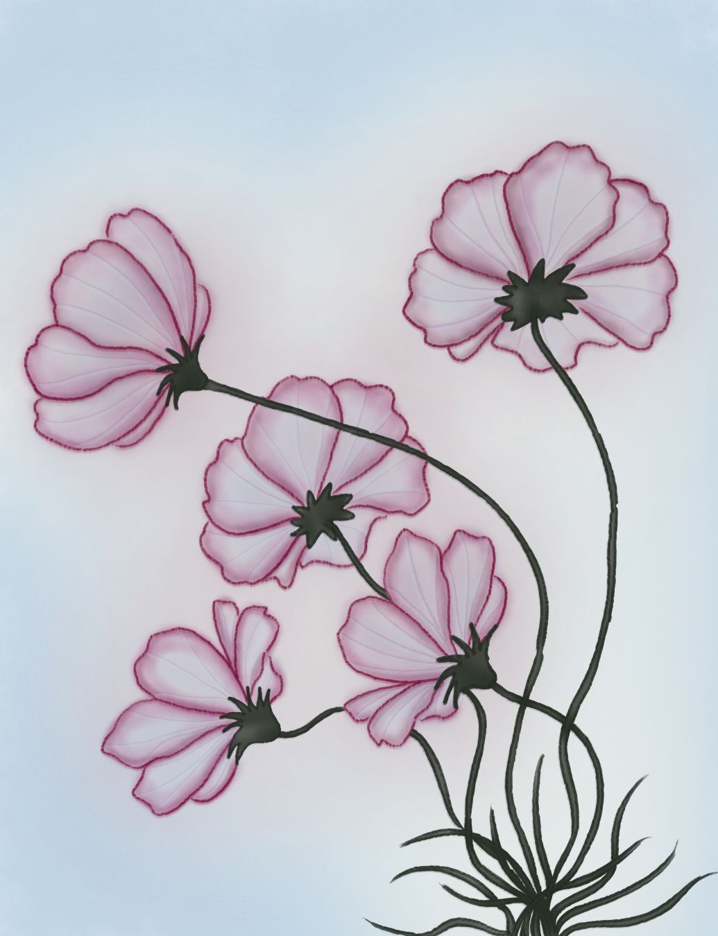 Vue de cinq fleurs en contreplongée; elles semblent traversées par la lumière. Dans des teintes de rose, violet, vert sombre et bleu clair / A low-angle view of five flowers; they appear to be illuminated by light. In shades of pink, purple, dark green, and light blue.