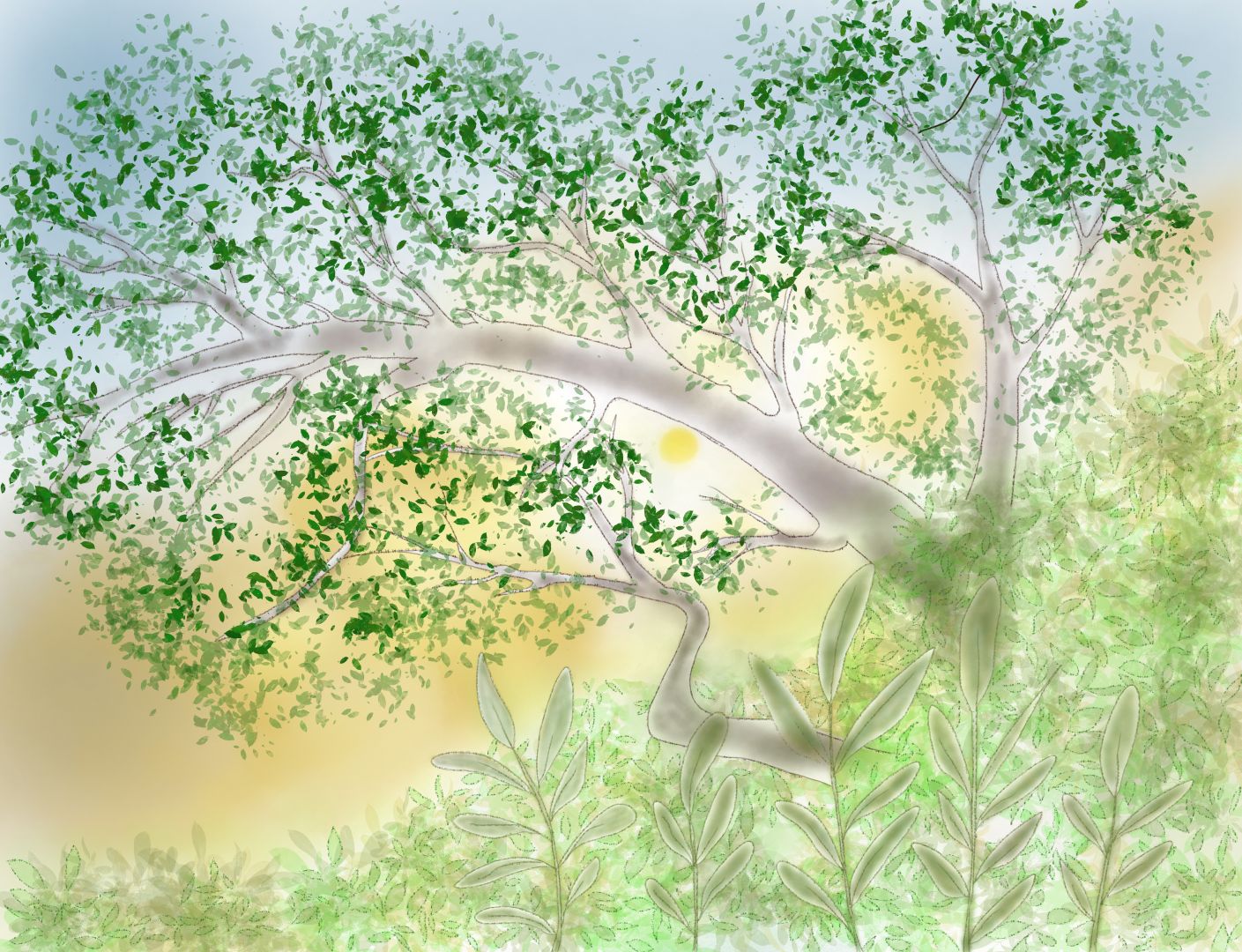 Un paysage touffu, le soleil entre les branches / A dense landscape, the sun between the branches